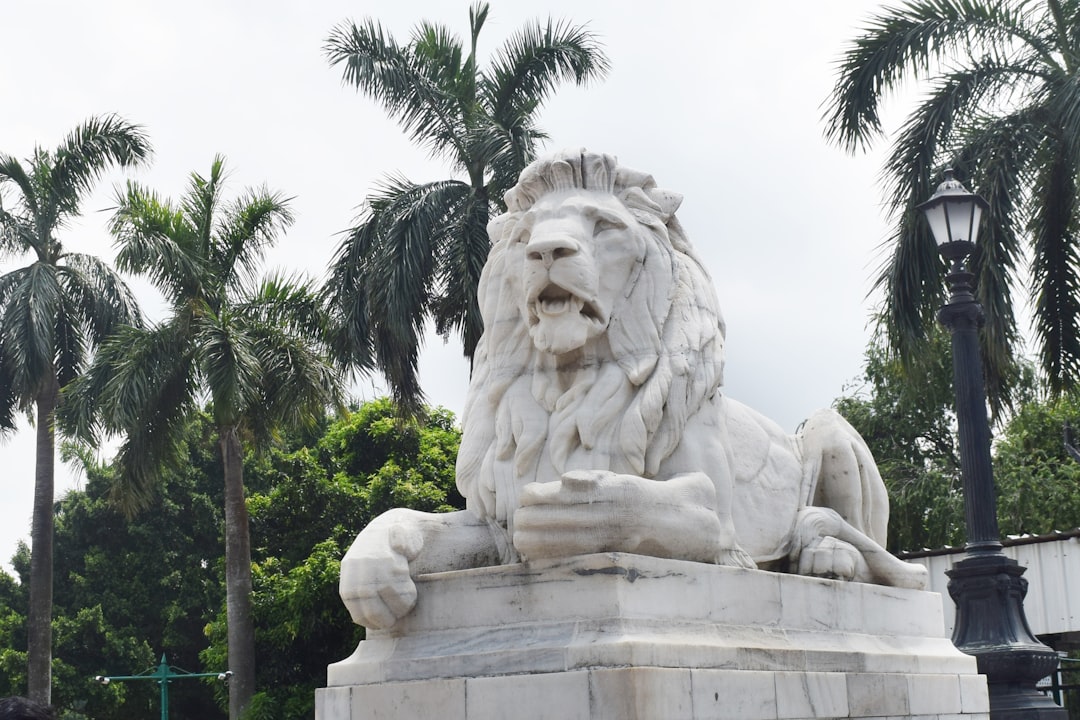 lion statue