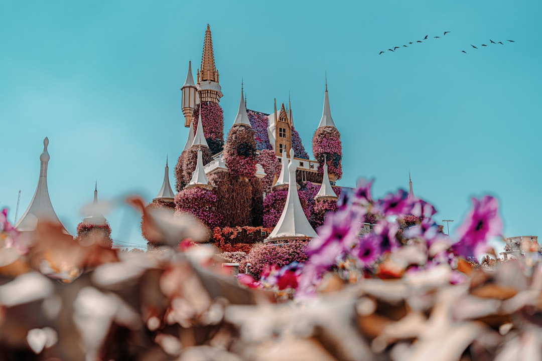 A view of a castle from the ground