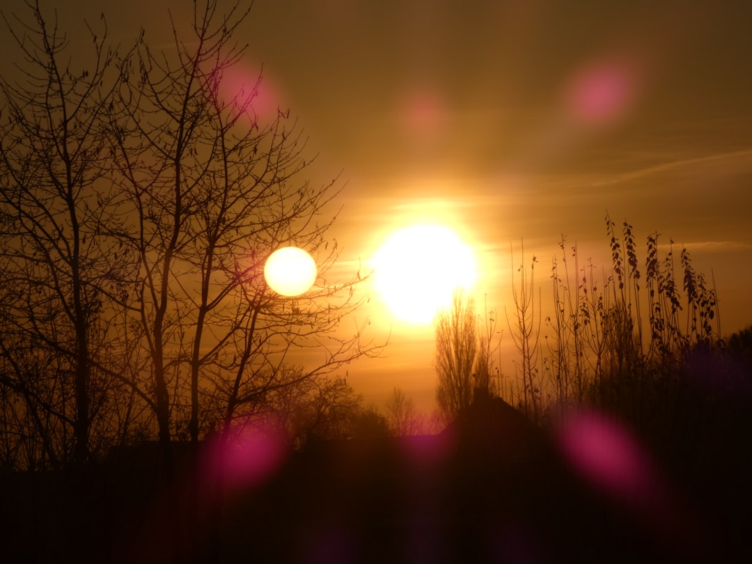 the sun is setting over the trees and bushes