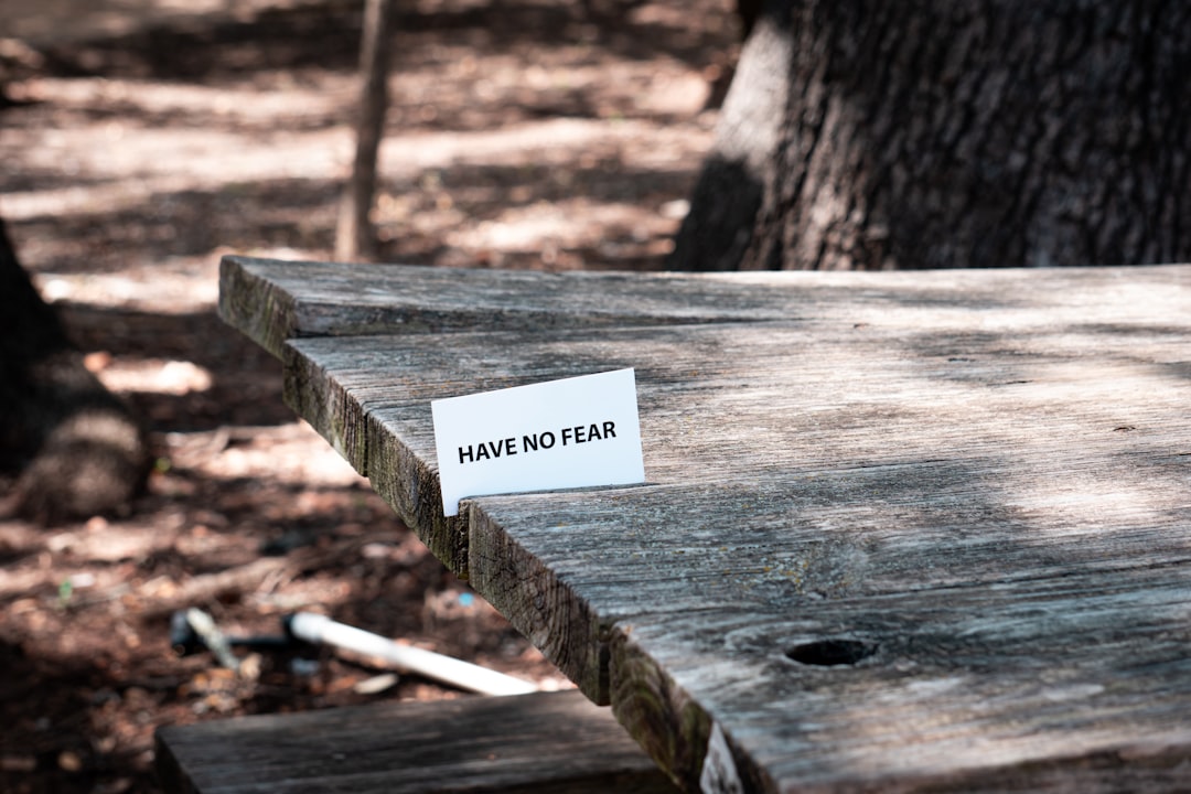 white and black box on brown wooden bench
