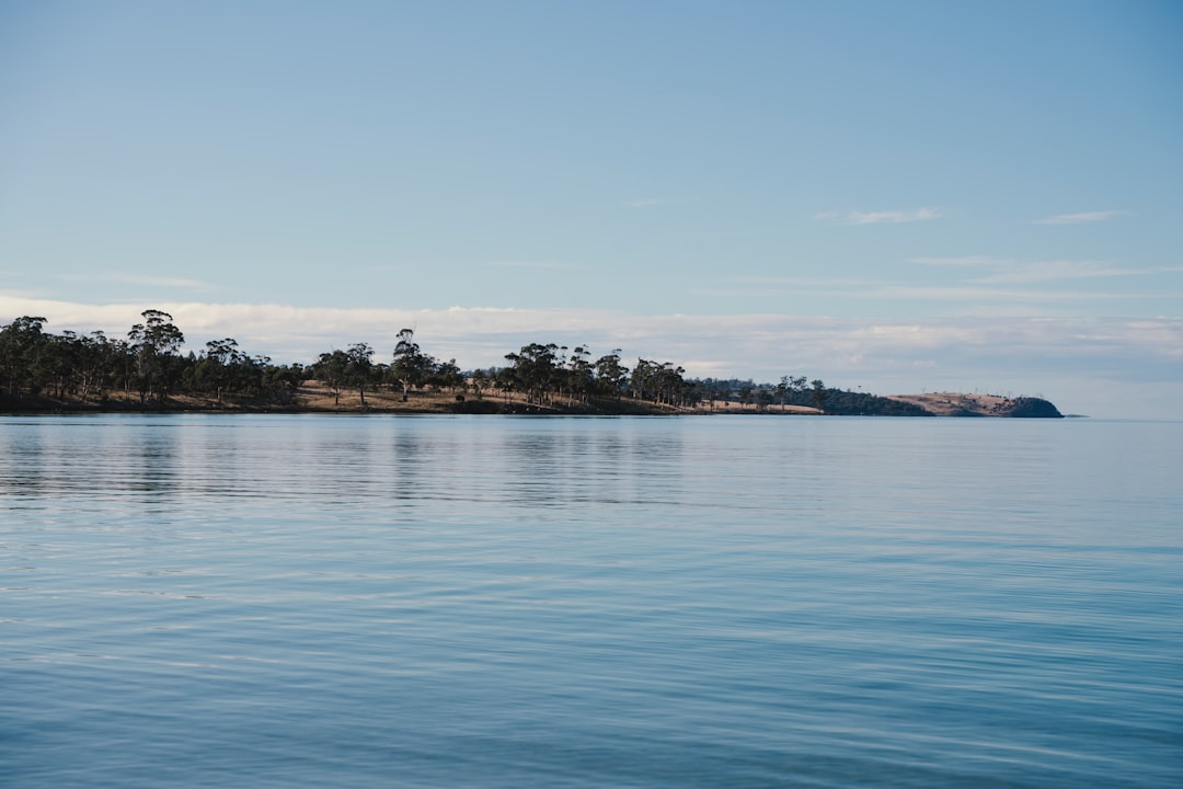 a body of water with a small island in the distance